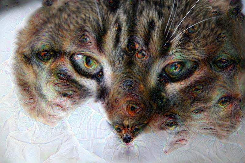Illustration for article titled Convierte tus fotos en sueños de la inteligencia artificial de Google